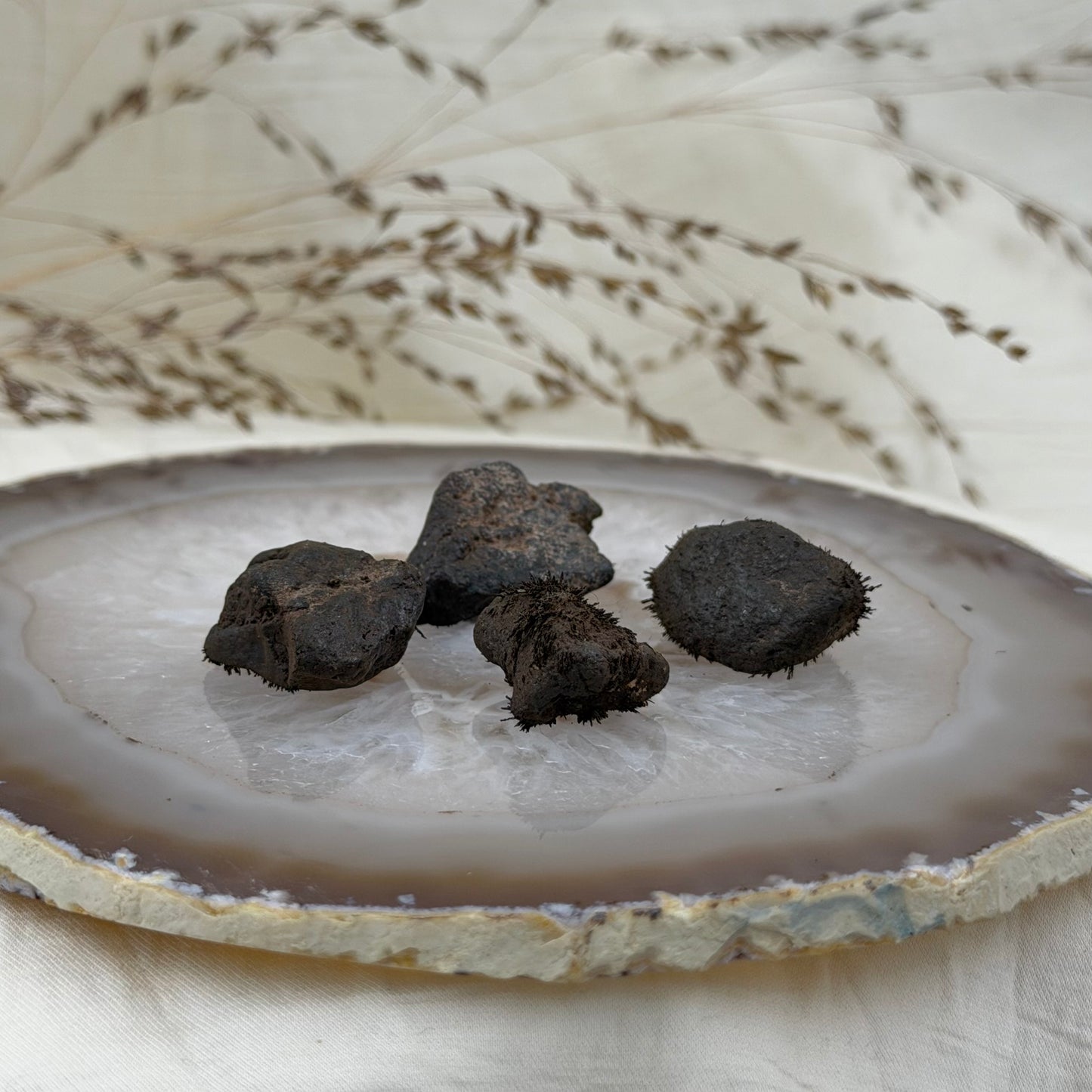 Magnetitas