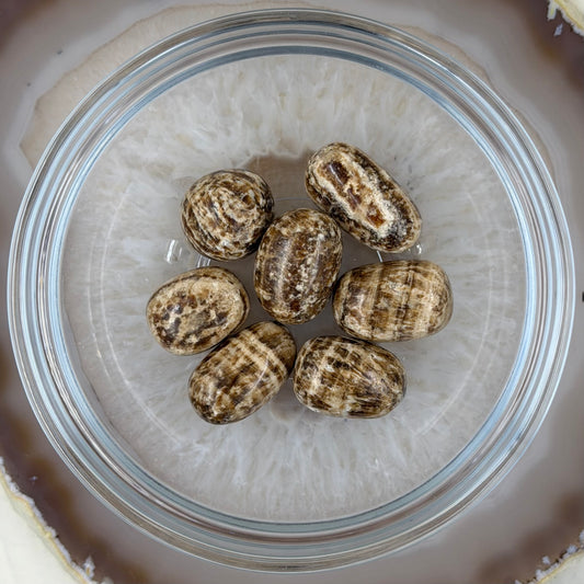 Aragonitas