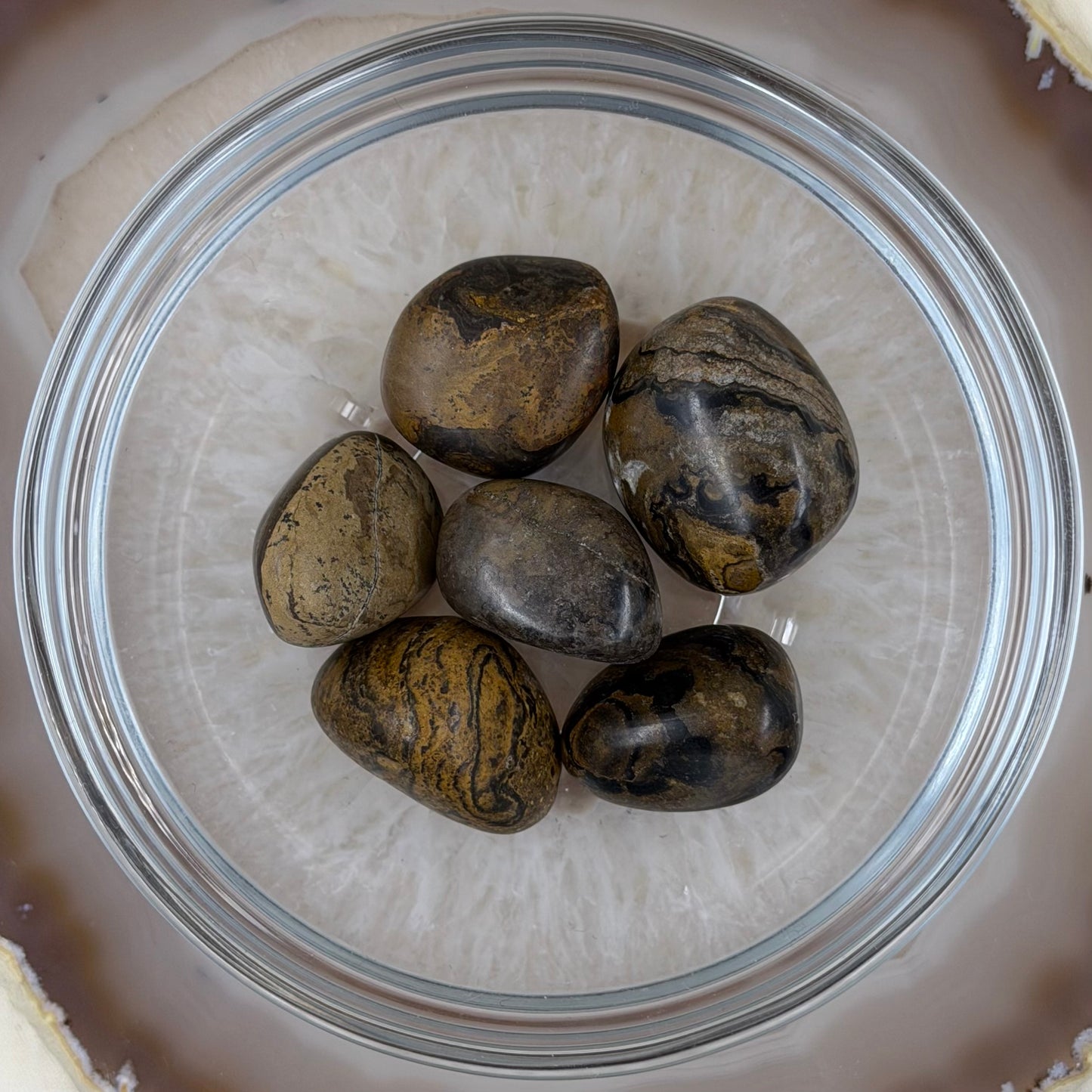 Stromatolitas