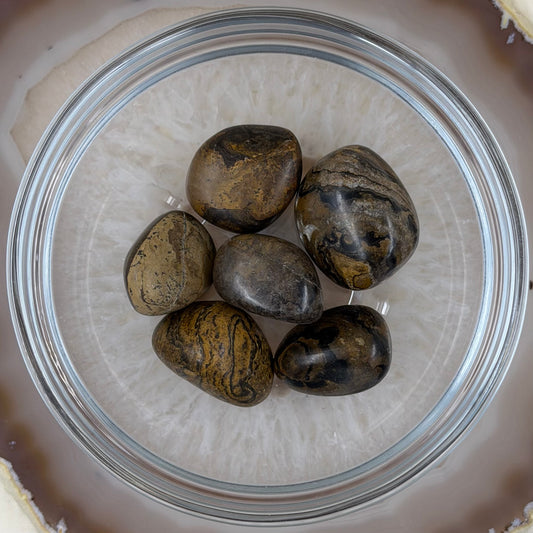 Stromatolitas