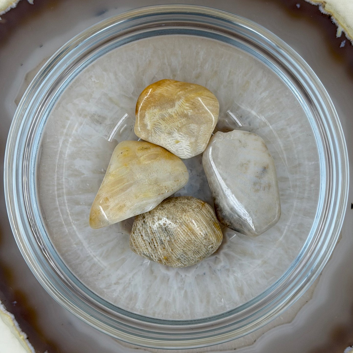 Koralinis agatas