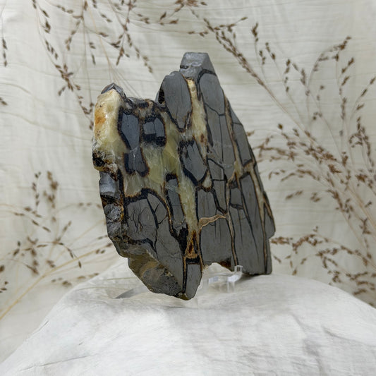 Septariano plokštė