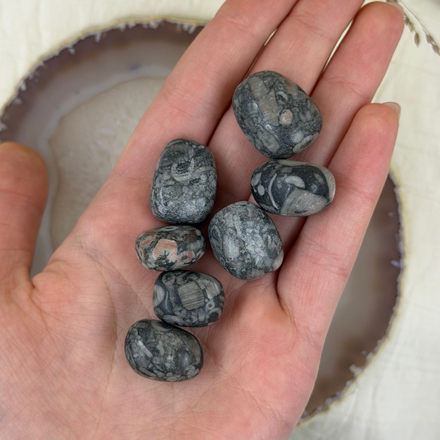 Krinoidas