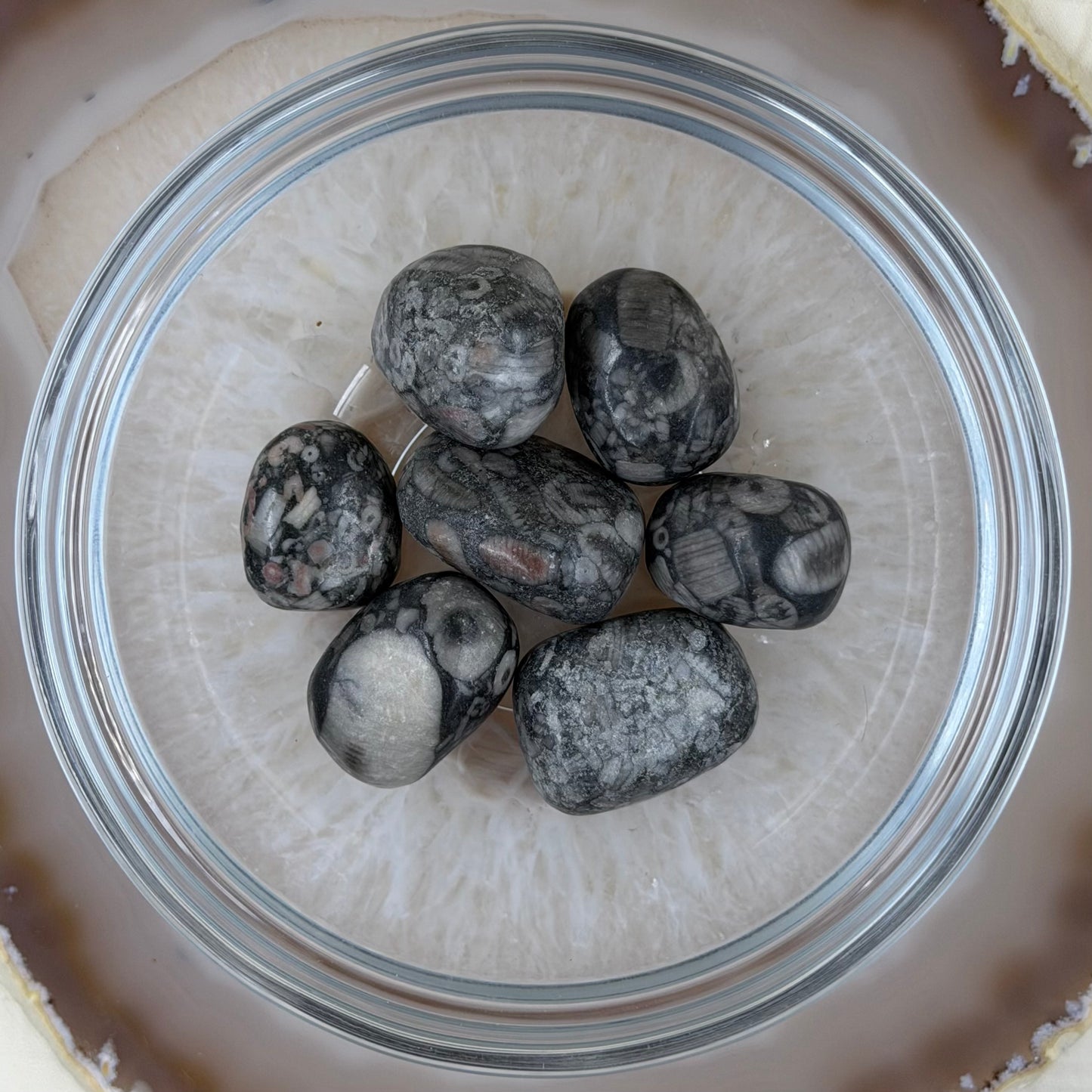 Krinoidas