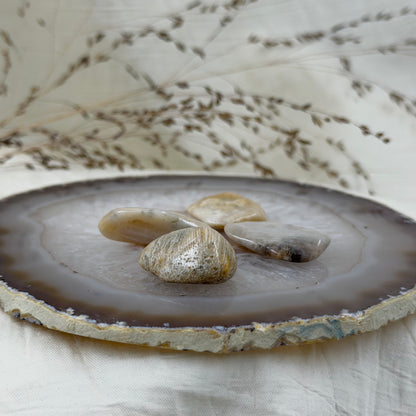 Koralinis agatas