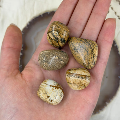 Paveikslinis jaspis