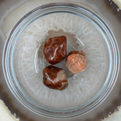 Sardoniksas