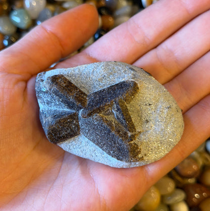 Staurolitas