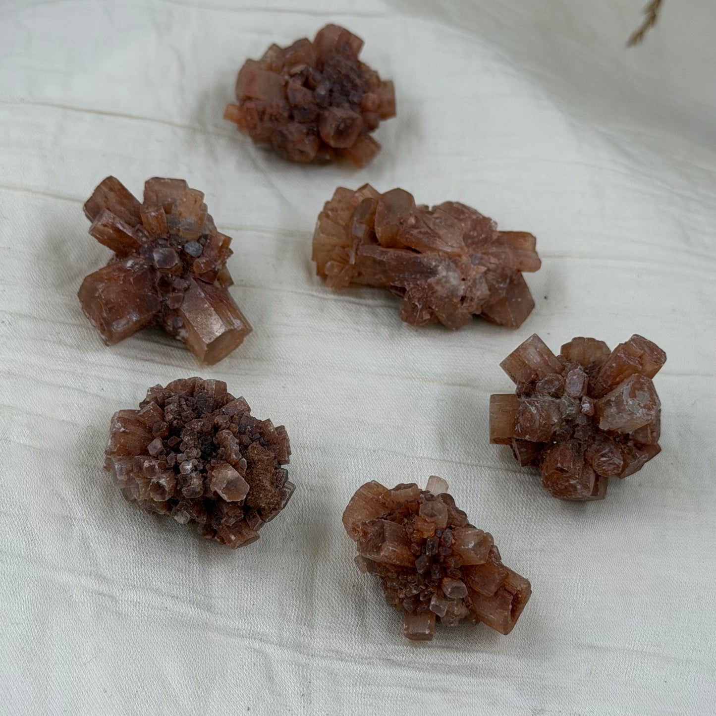 Aragonitas