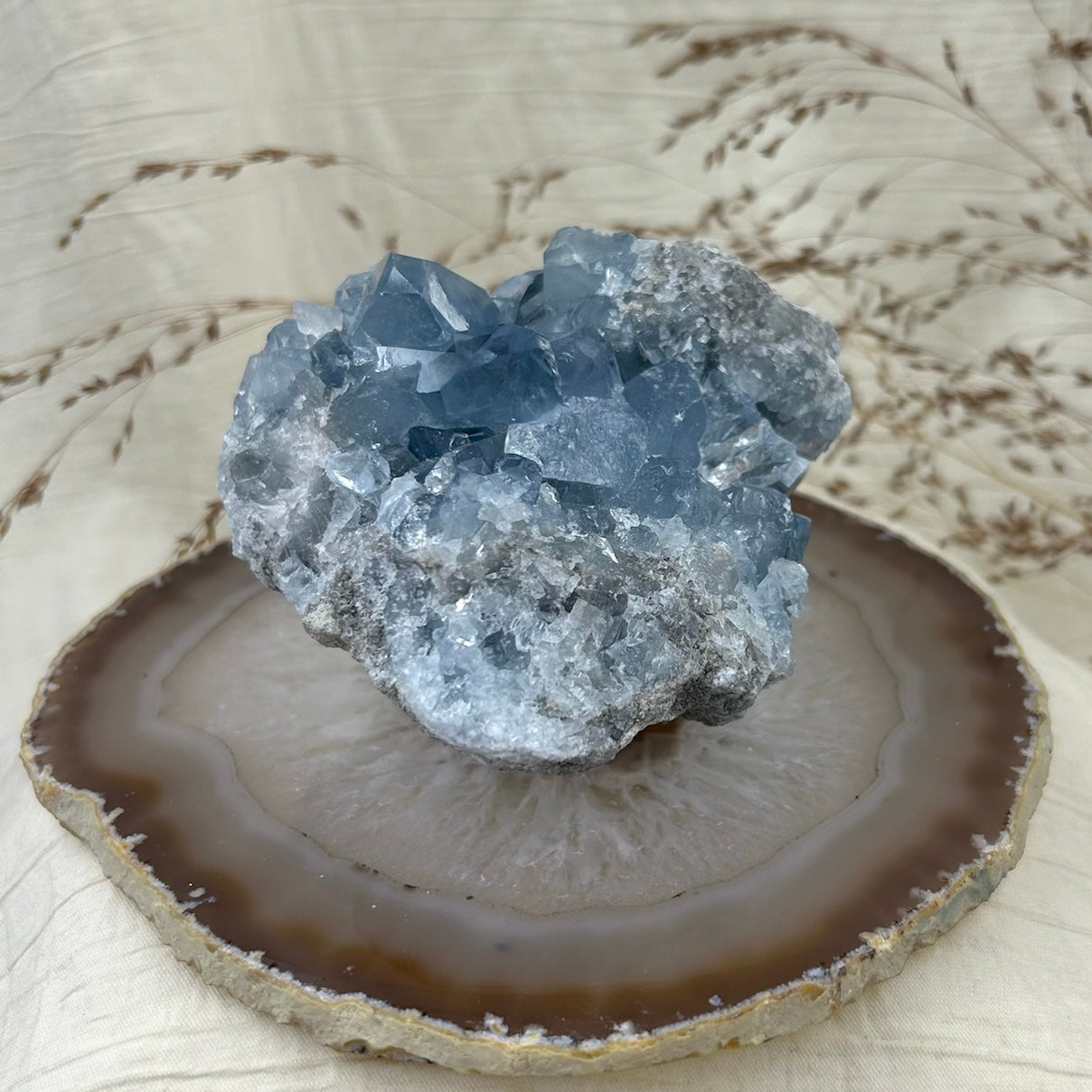 Celestitas