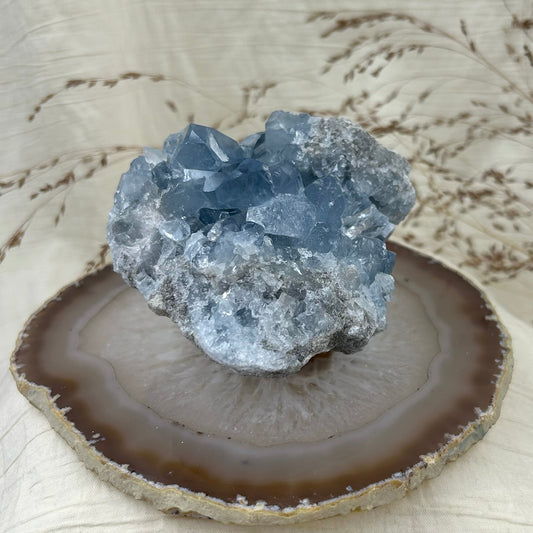 Celestitas