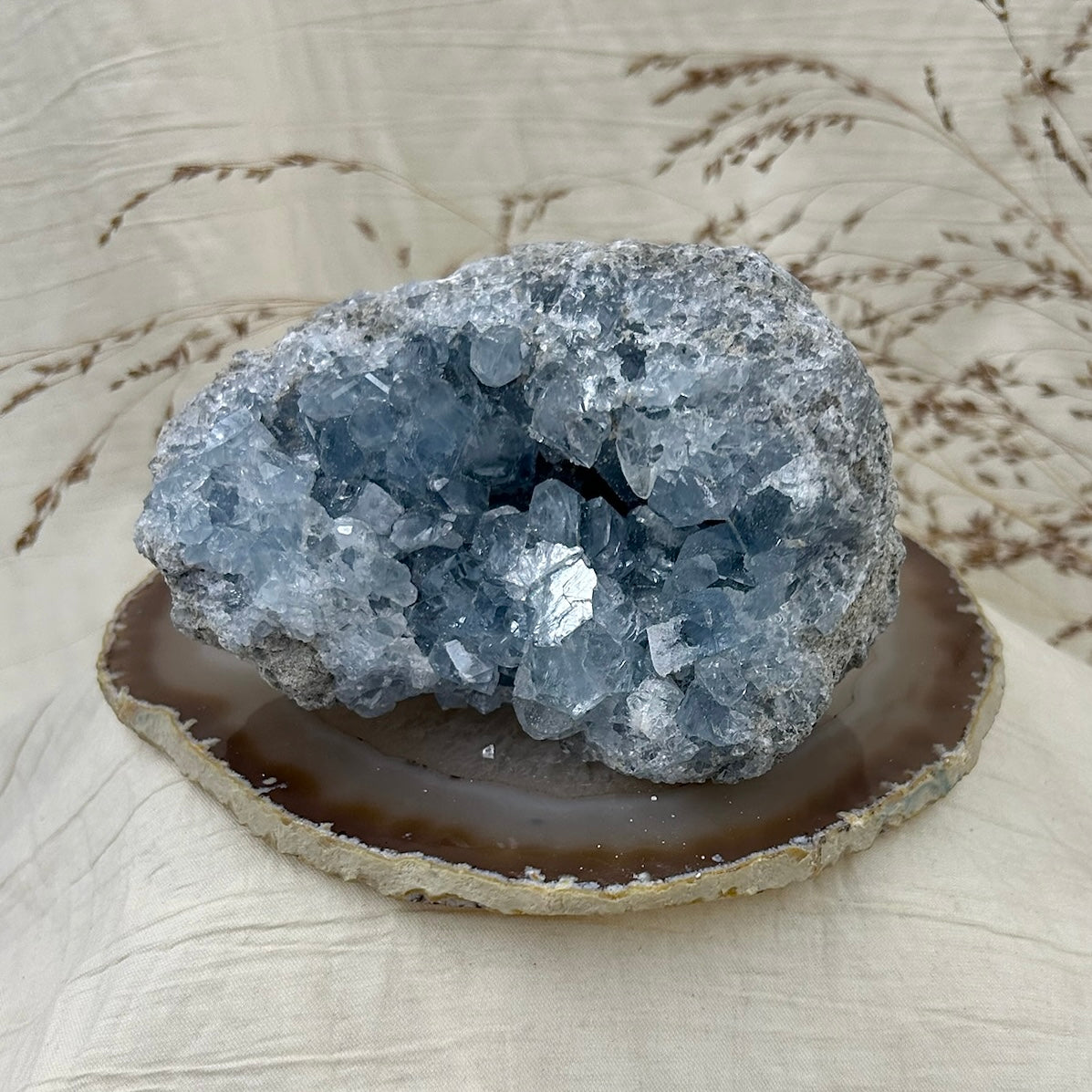 Celestitas