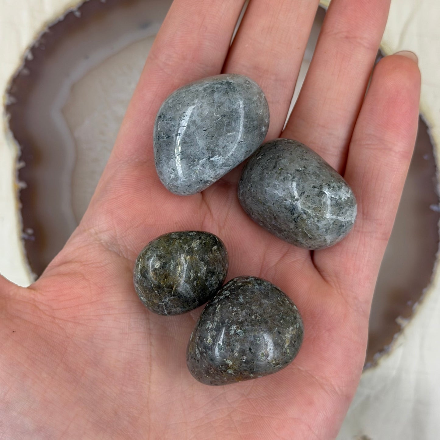 Litomanitas